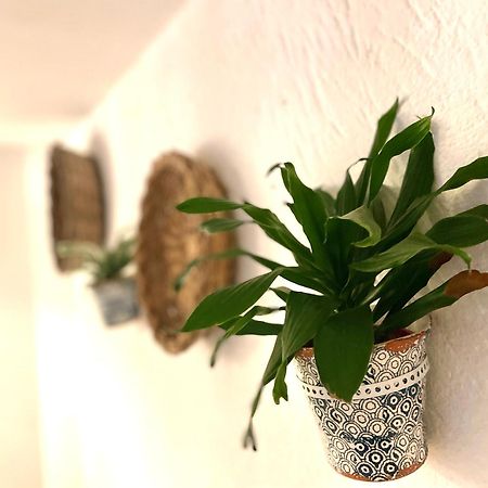 Casa Mia Villa Mola di Bari Eksteriør billede