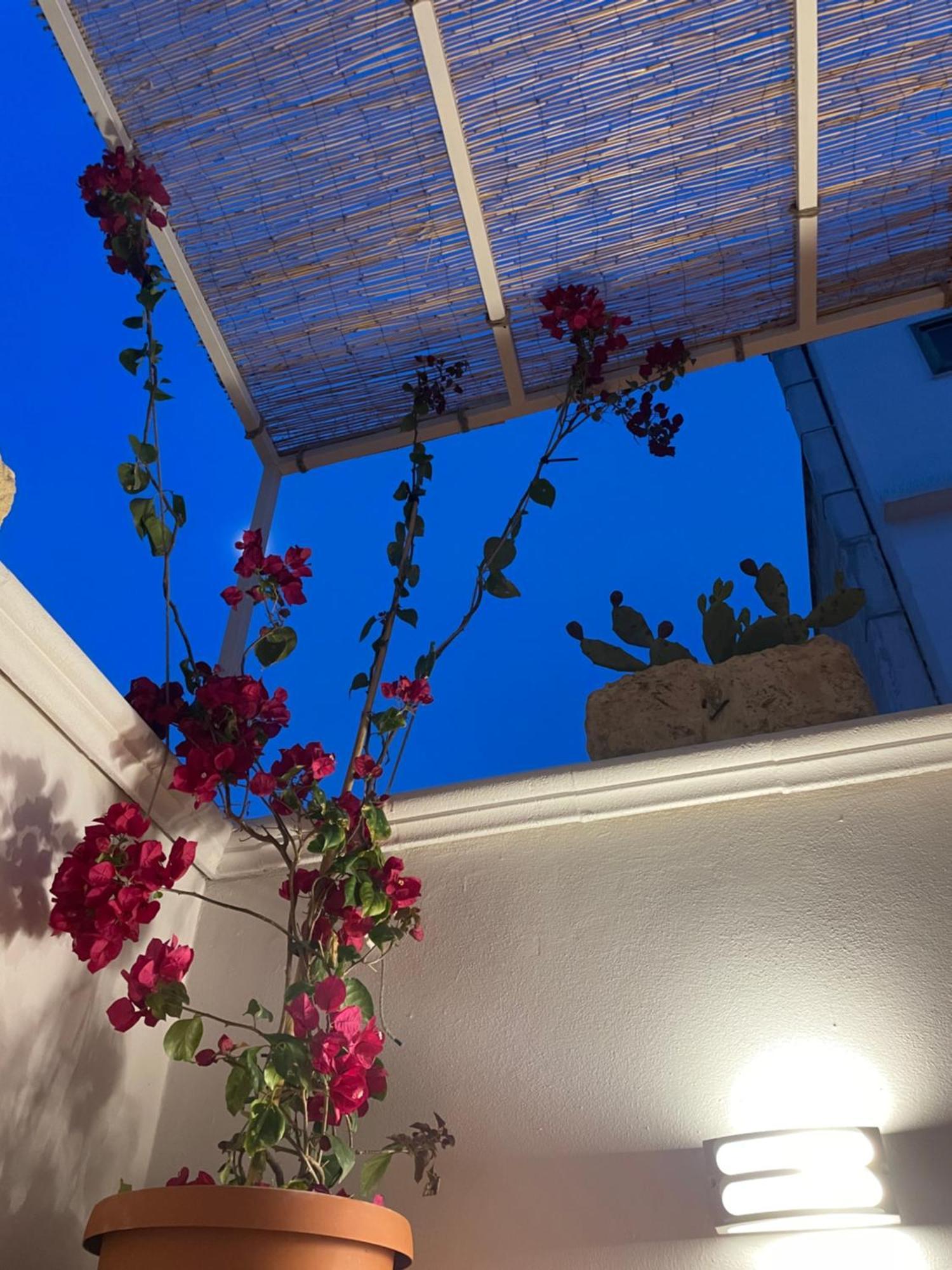 Casa Mia Villa Mola di Bari Eksteriør billede