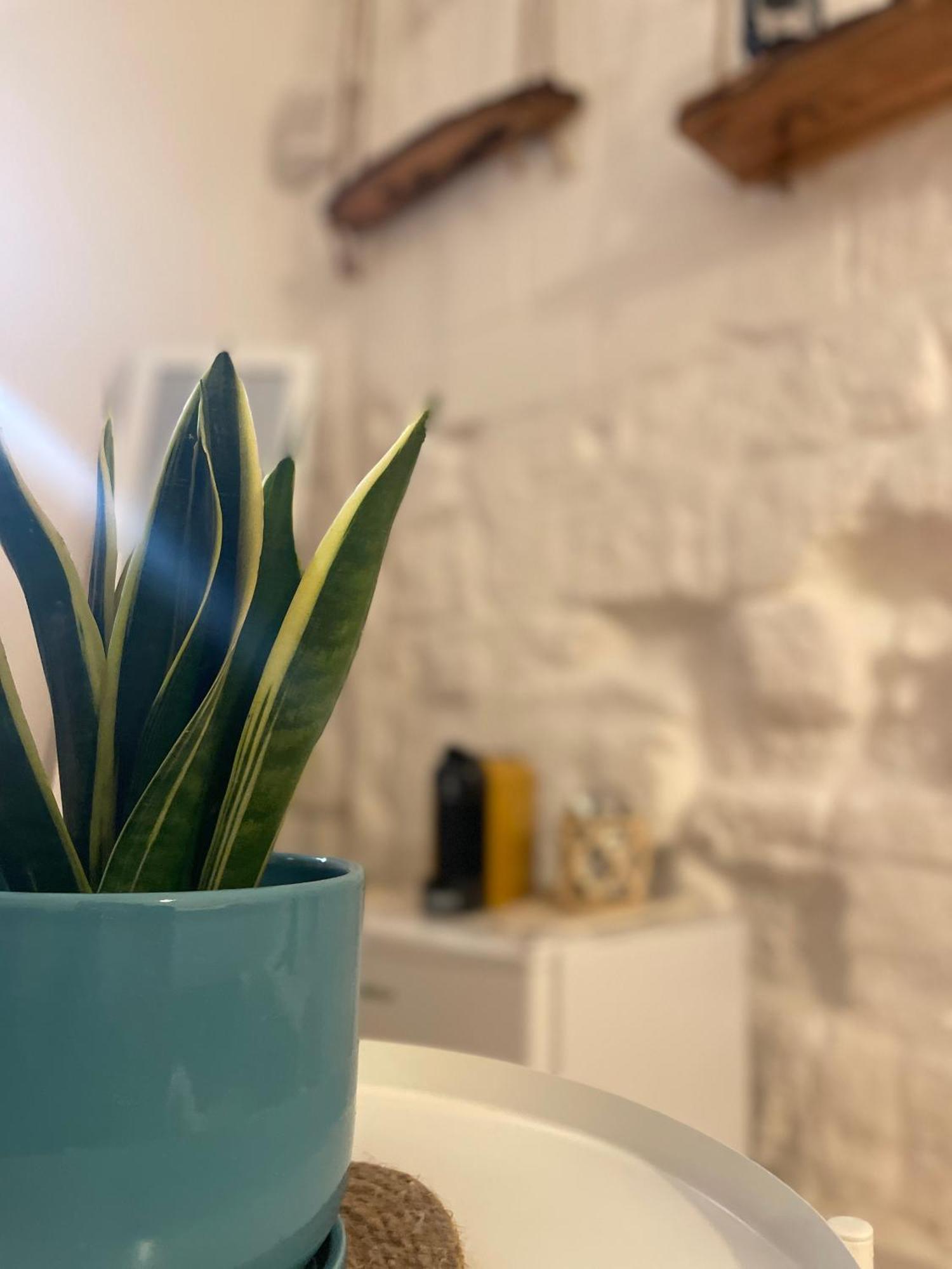Casa Mia Villa Mola di Bari Eksteriør billede